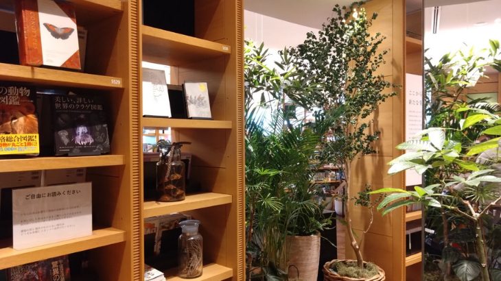 TSUTAYAシェアラウンジ 店内の写真②